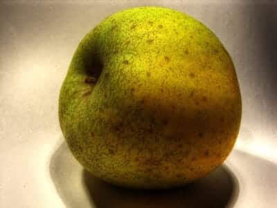 Chantecler