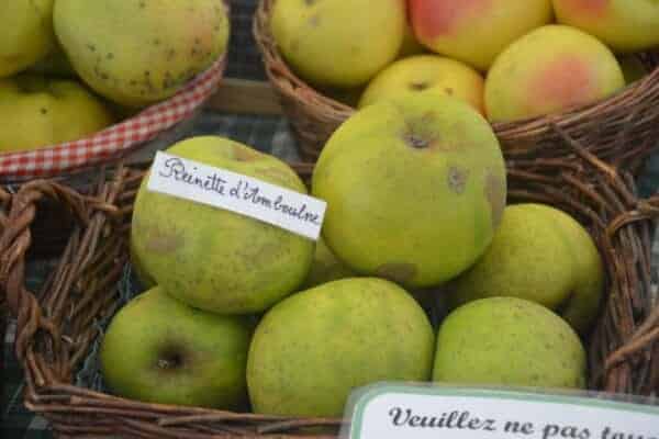 Reinette d'Amboulne