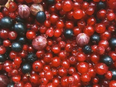 Petits fruits