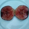 Pastilière – Image 2