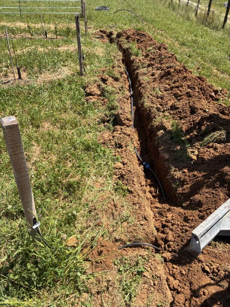 Installation du réseau d'irrigation au verger pomaria