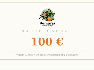 Carte cadeau - 100 euros