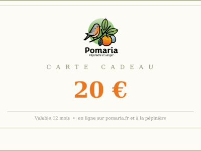 Carte cadeau - 20 euros