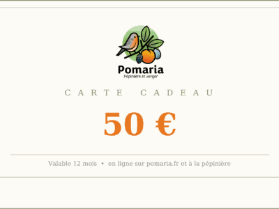 Carte cadeau - 50 euros