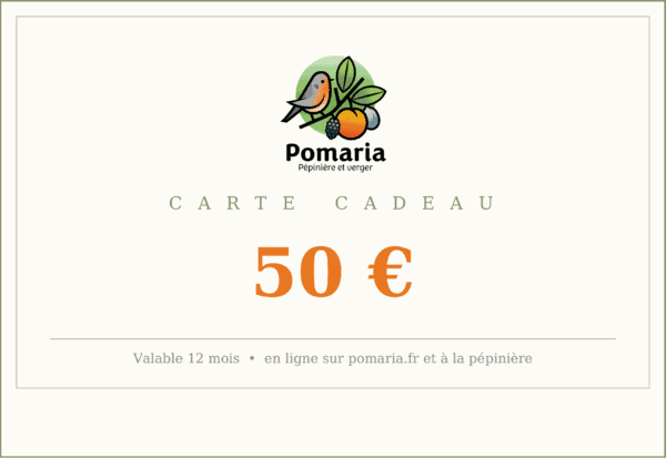 Carte cadeau - 50 euros