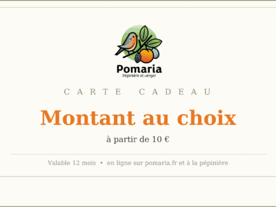 Carte cadeau de montant libre