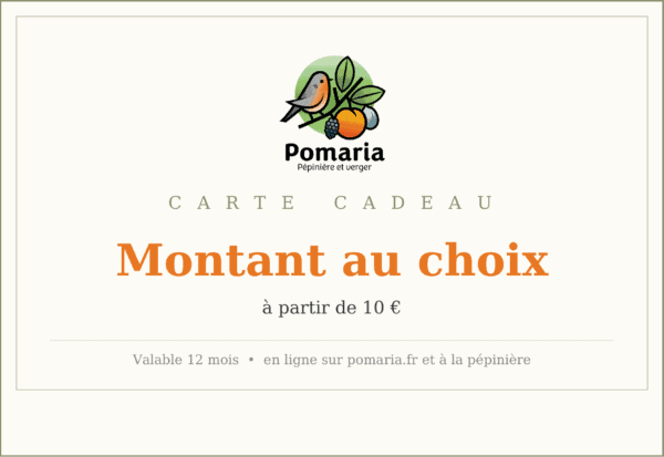 Carte cadeau de montant libre