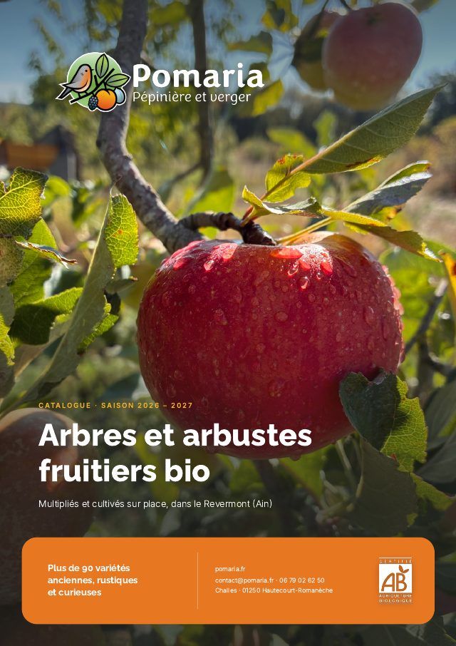 Couverture du catalogue complet Pomaria 2026-2027