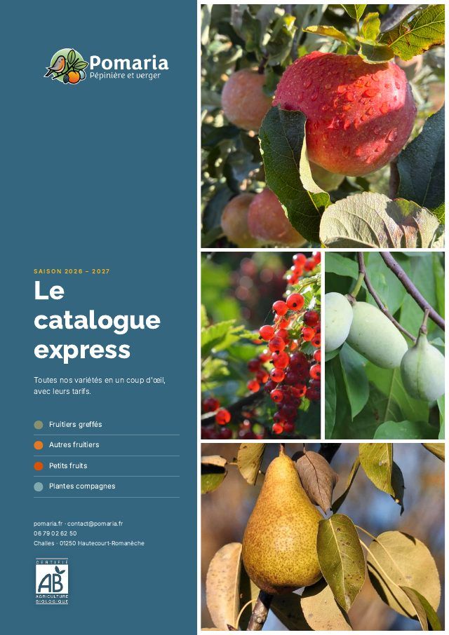 Couverture du catalogue express Pomaria 2026-2027